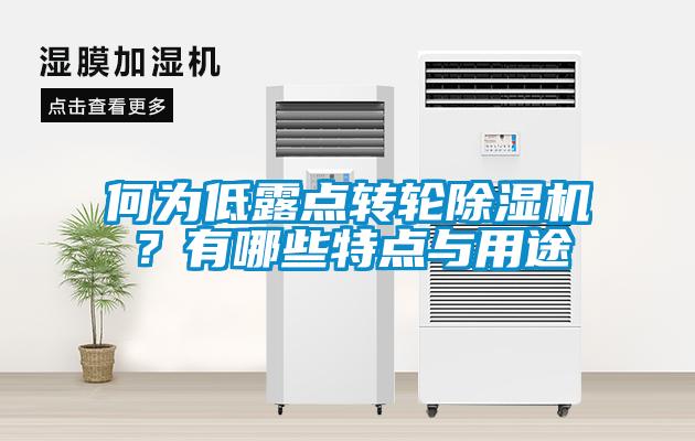 何為低露點(diǎn)轉(zhuǎn)輪除濕機(jī)？有哪些特點(diǎn)與用途