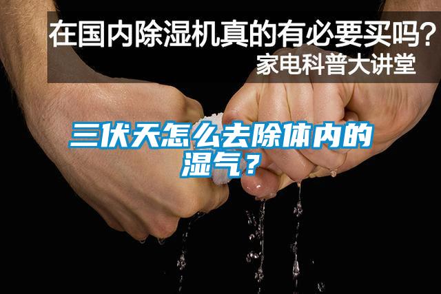 三伏天怎么去除體內的濕氣？