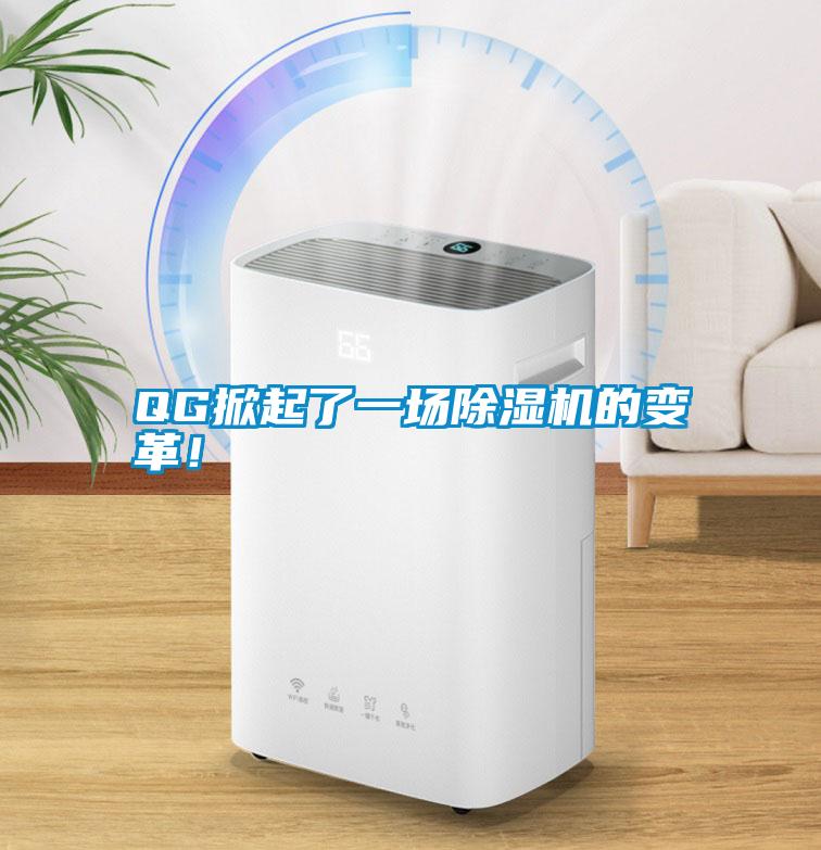 QG掀起了一場除濕機的變革!