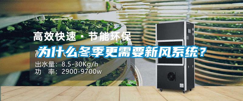 為什么冬季更需要新風系統?
