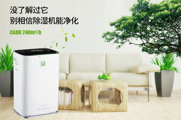 一到回南天狗狗就感冒+皮膚病，怎么辦？