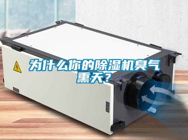 為什么你的除濕機臭氣熏天?