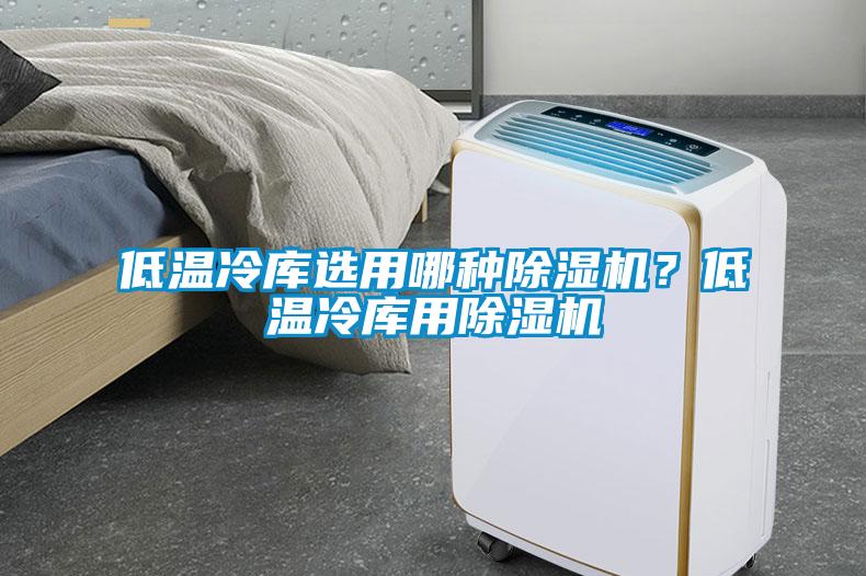 低溫冷庫選用哪種除濕機?低溫冷庫用除濕機