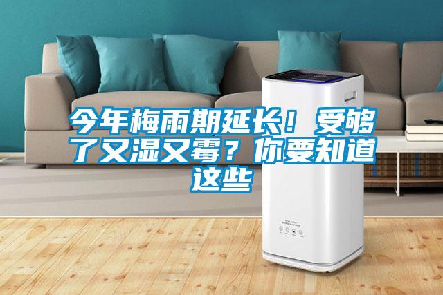 今年梅雨期延長！受夠了又濕又霉？你要知道這些
