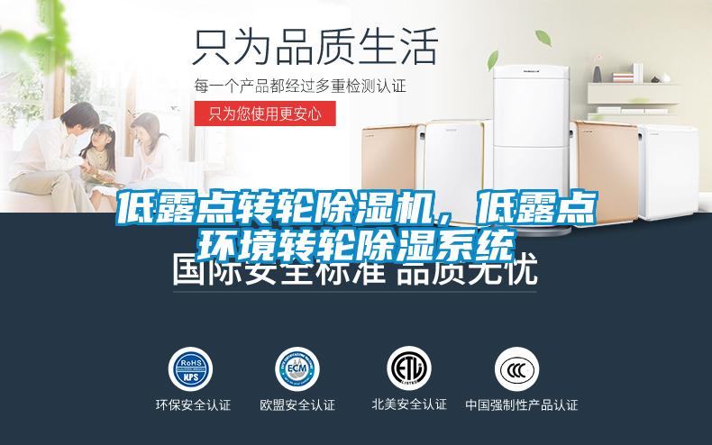 低露點轉輪除濕機,低露點環境轉輪除濕系統