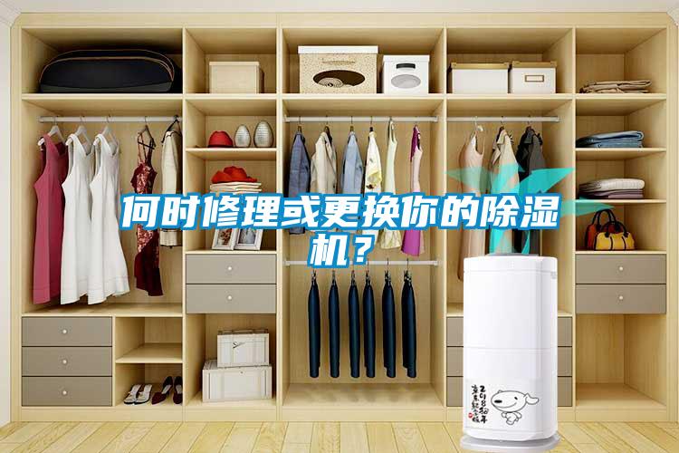 何時(shí)修理或更換你的除濕機(jī)？