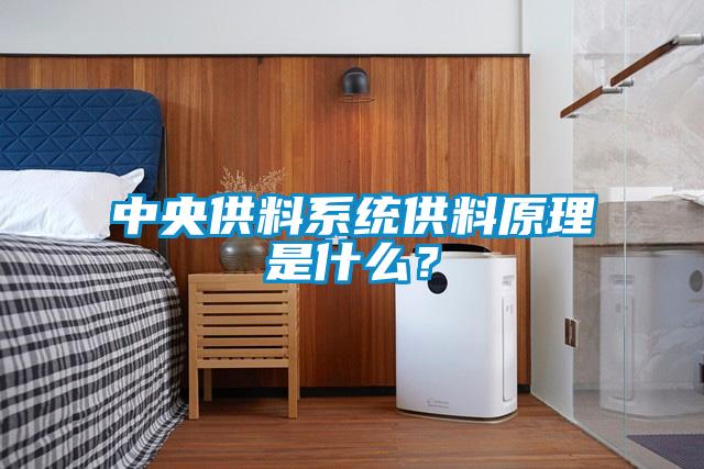 中央供料系統(tǒng)供料原理是什么？