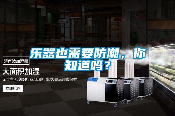 樂器也需要防潮，你知道嗎？