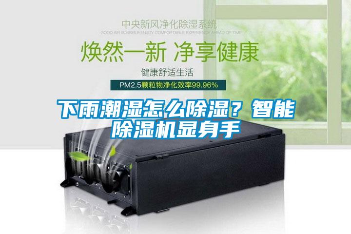 下雨潮濕怎么除濕？智能除濕機顯身手
