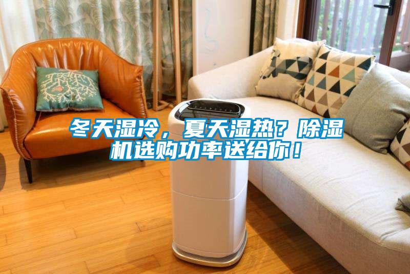 冬天濕冷，夏天濕熱？除濕機選購功率送給你！
