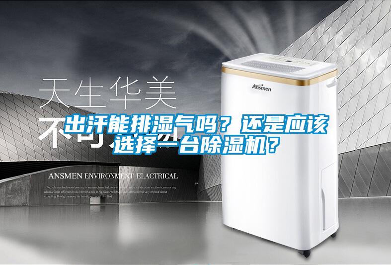 出汗能排濕氣嗎？還是應該選擇一臺除濕機？