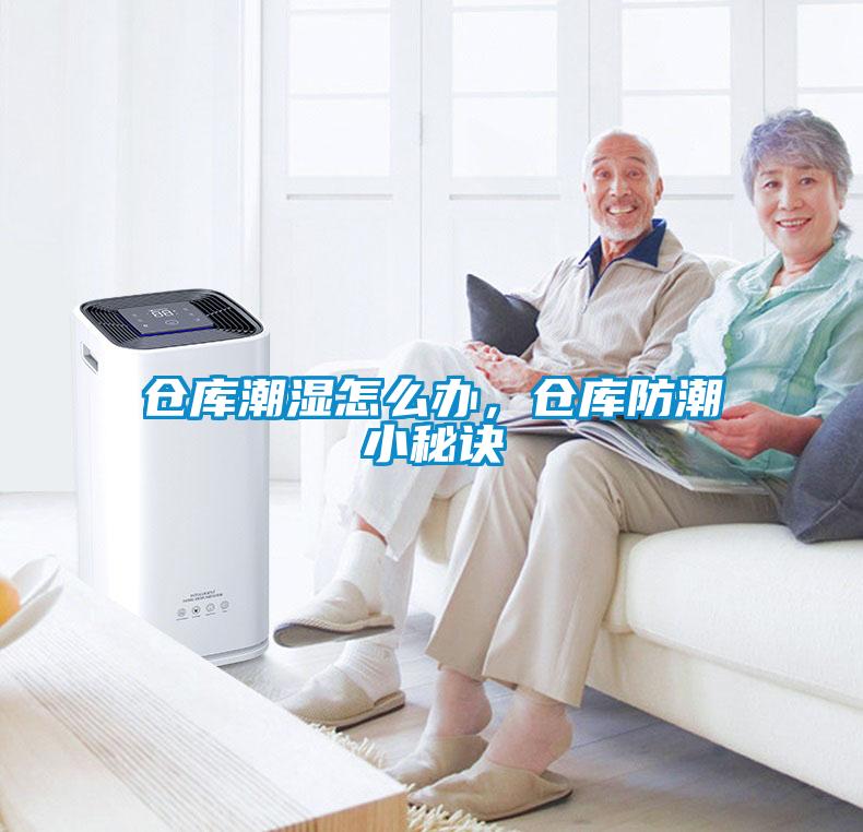 倉庫潮濕怎么辦，倉庫防潮小秘訣