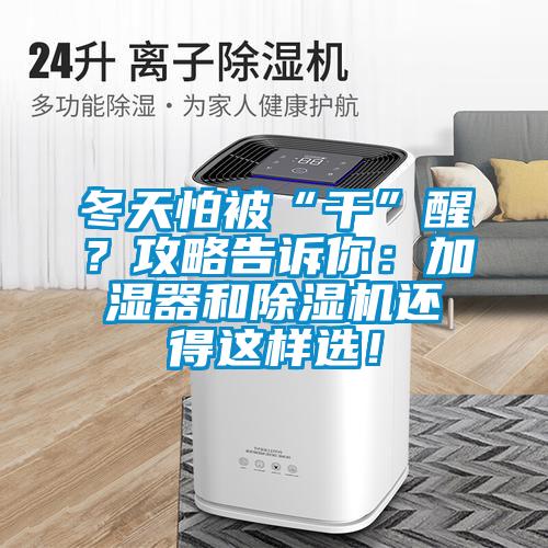 冬天怕被“干”醒？攻略告訴你：加濕器和除濕機還得這樣選！
