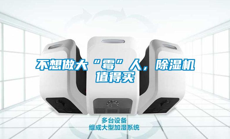 不想做大“霉”人，除濕機(jī)值得買