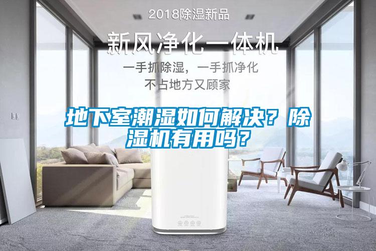 地下室潮濕如何解決？除濕機有用嗎？