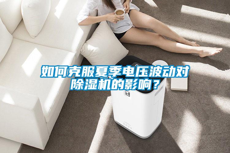 如何克服夏季電壓波動對除濕機的影響？