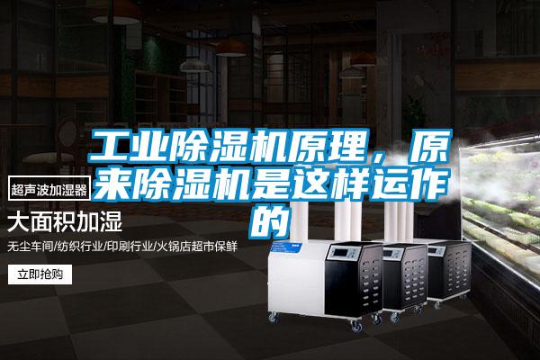工業除濕機原理，原來除濕機是這樣運作的