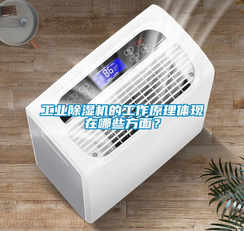 工業(yè)除濕機(jī)的工作原理體現(xiàn)在哪些方面?