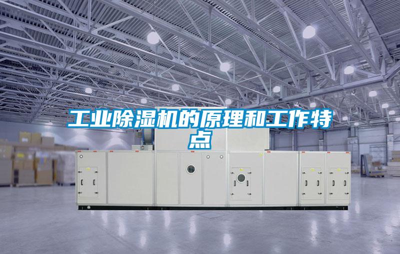 工業(yè)除濕機的原理和工作特點