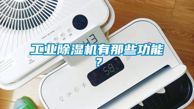 工業除濕機有那些功能？