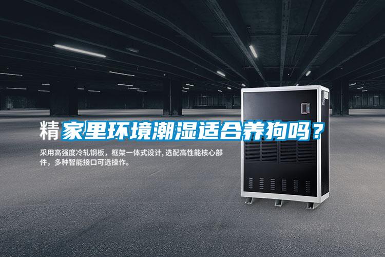 家里環境潮濕適合養狗嗎？