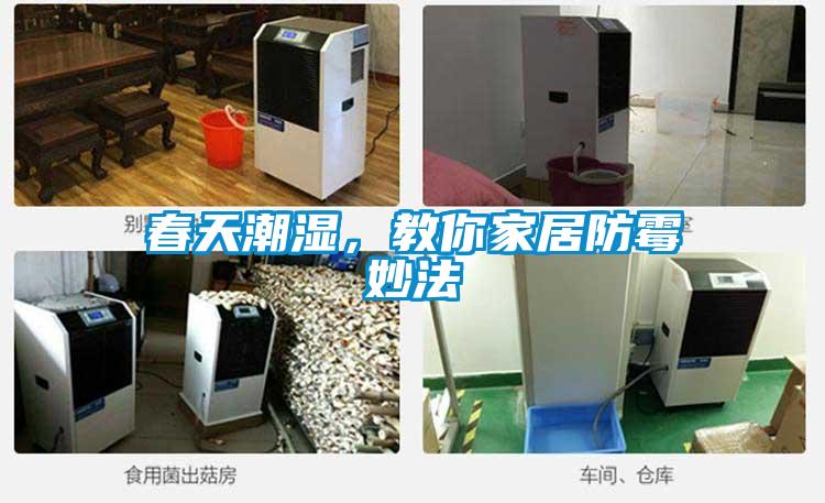 春天潮濕,教你家居防霉妙法