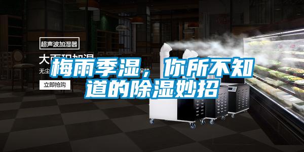 梅雨季濕，你所不知道的除濕妙招