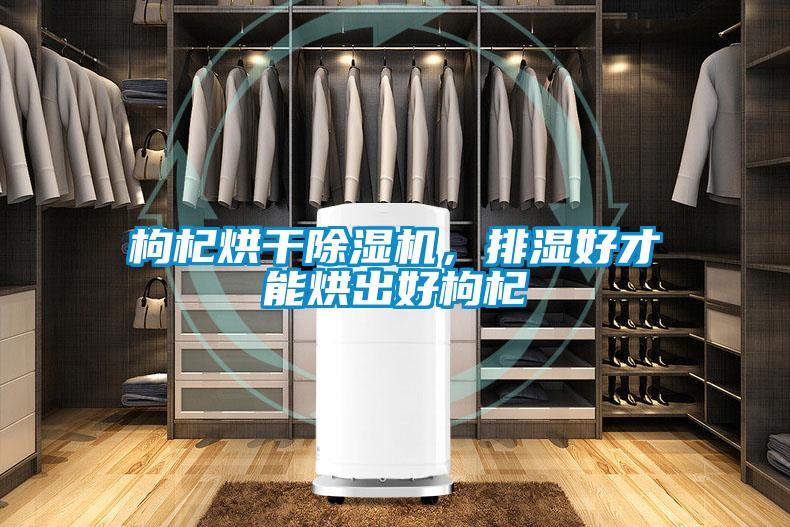 枸杞烘干除濕機,排濕好才能烘出好枸杞