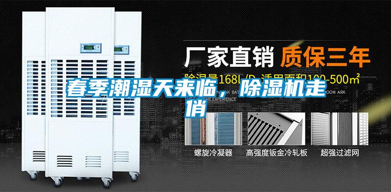 春季潮濕天來臨,除濕機走俏