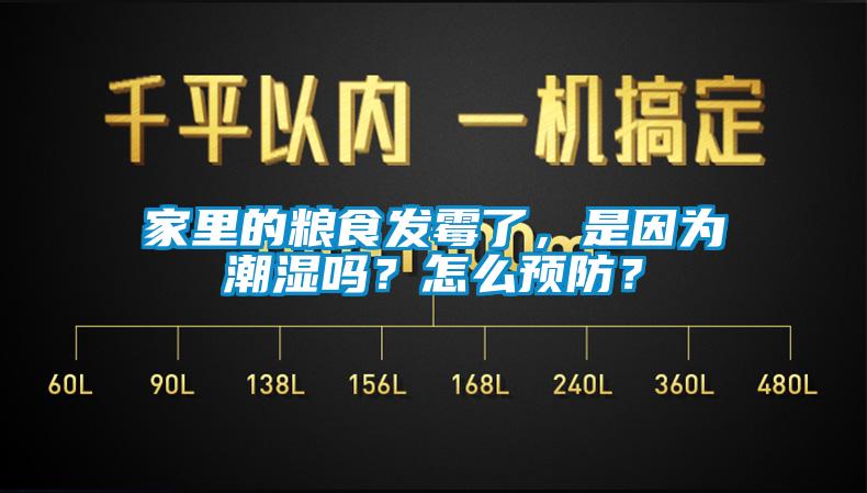 家里的糧食發霉了，是因為潮濕嗎？怎么預防？