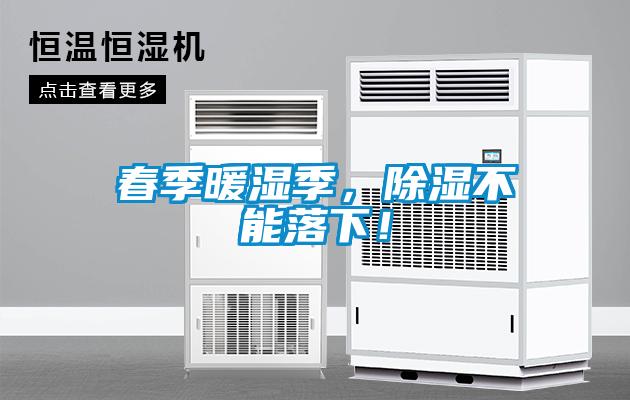 春季暖濕季，除濕不能落下！