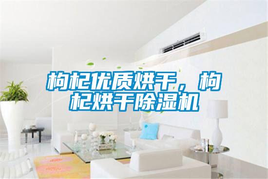 枸杞優(yōu)質烘干，枸杞烘干除濕機