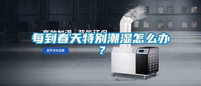 每到春天特別潮濕怎么辦？