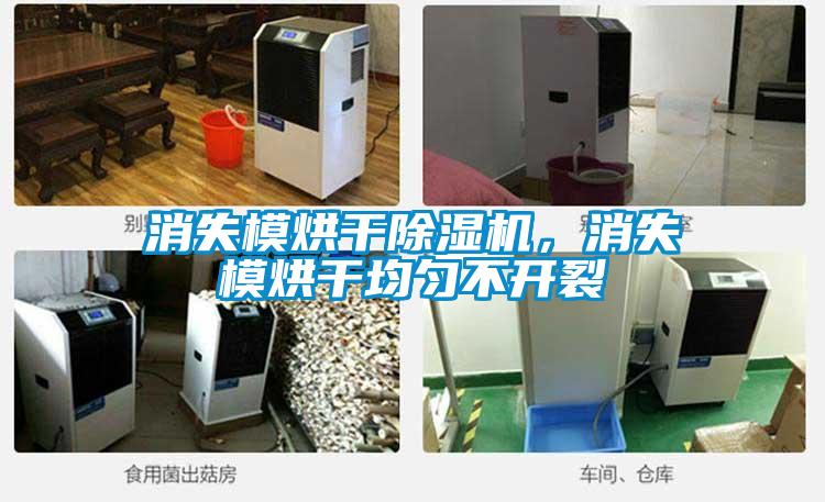 消失模烘干除濕機，消失模烘干均勻不開裂