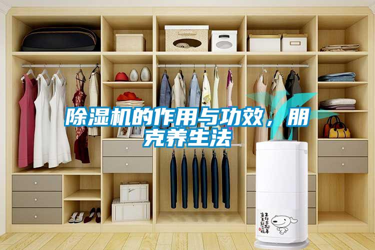 除濕機的作用與功效,朋克養生法