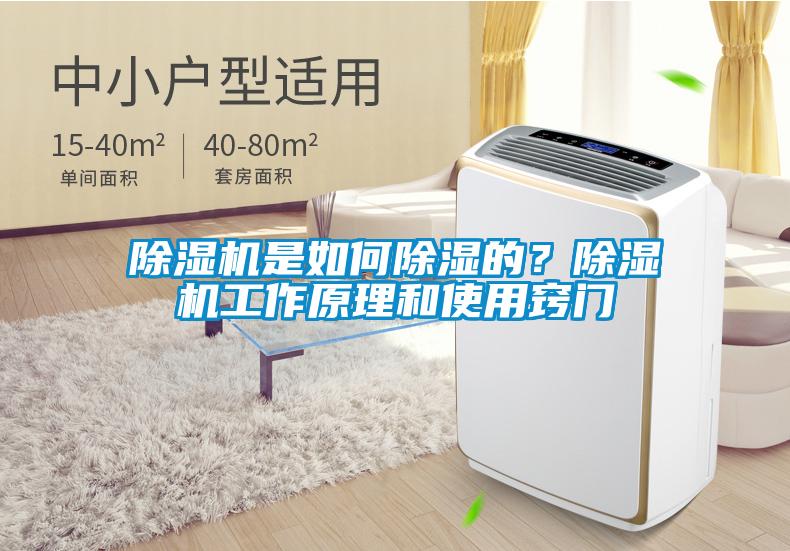 除濕機是如何除濕的?除濕機工作原理和使用竅門