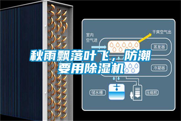 秋雨飄落葉飛，防潮要用除濕機