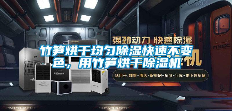 竹筍烘干均勻除濕快速不變色，用竹筍烘干除濕機(jī)