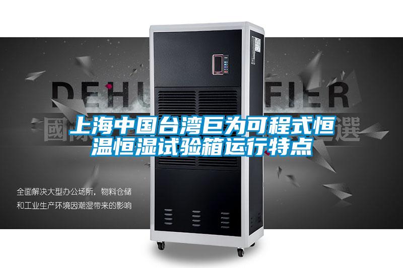 上海中國臺灣巨為可程式恒溫恒濕試驗箱運(yùn)行特點