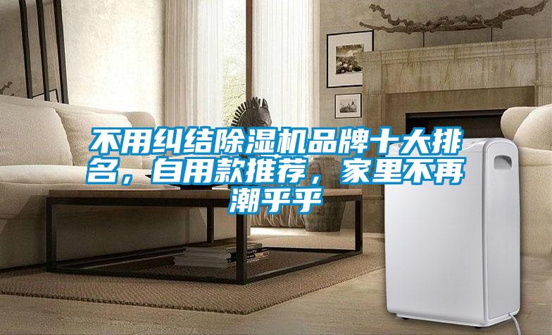 不用糾結除濕機品牌十大排名，自用款推薦，家里不再潮乎乎