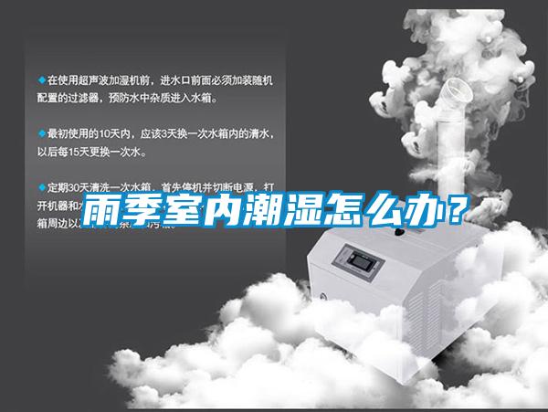 雨季室內潮濕怎么辦？