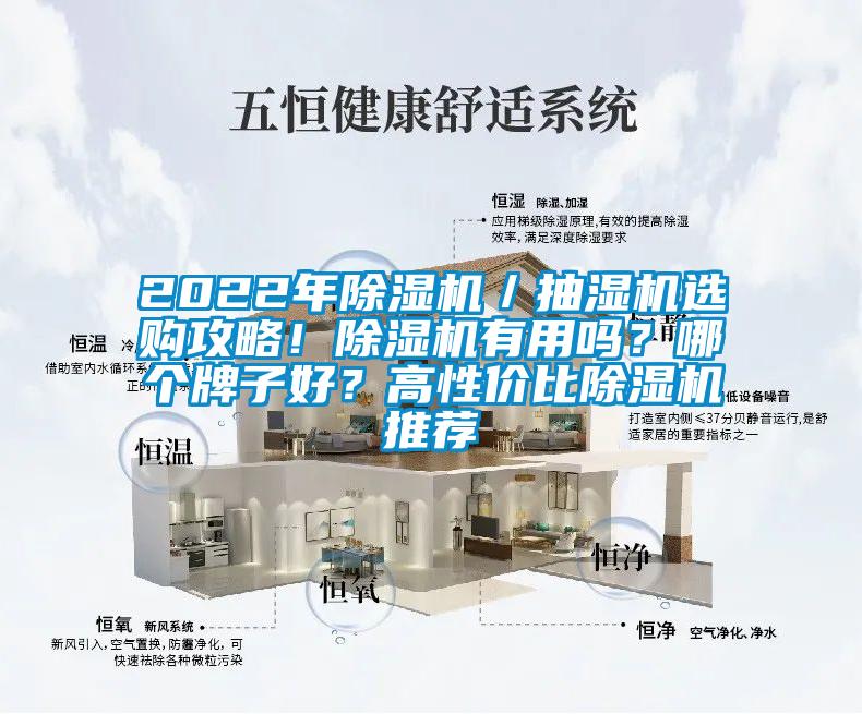 2022年除濕機／抽濕機選購攻略！除濕機有用嗎？哪個牌子好？高性價比除濕機推薦