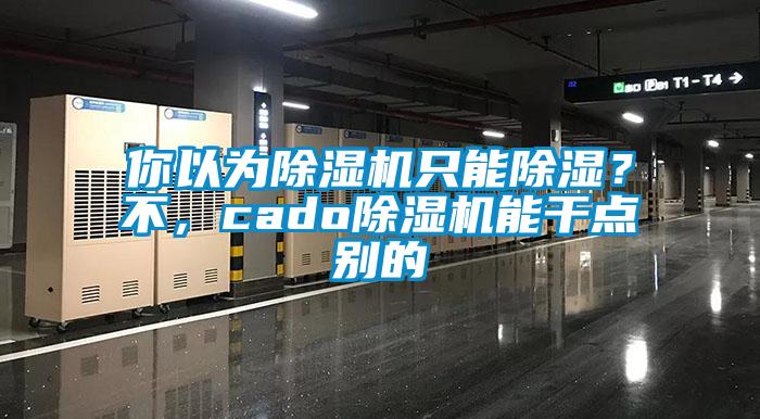 你以為除濕機(jī)只能除濕?不,cado除濕機(jī)能干點(diǎn)別的