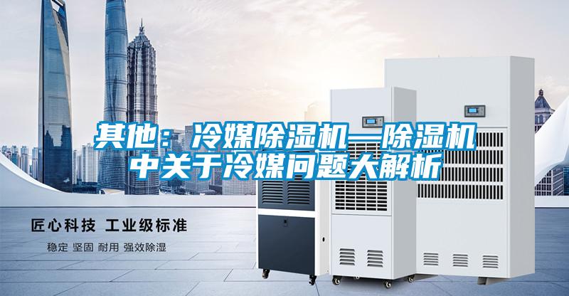 其他:冷媒除濕機—除濕機中關于冷媒問題大解析