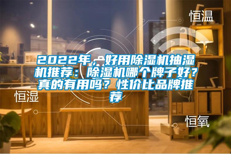 2022年，好用除濕機(jī)抽濕機(jī)推薦：除濕機(jī)哪個(gè)牌子好？真的有用嗎？性?xún)r(jià)比品牌推薦