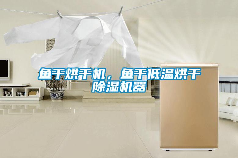 魚干烘干機,魚干低溫烘干除濕機器
