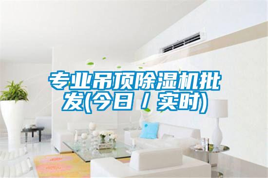專(zhuān)業(yè)吊頂除濕機(jī)批發(fā)(今日/實(shí)時(shí))