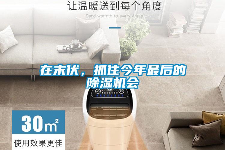 在末伏,抓住今年最后的除濕機會