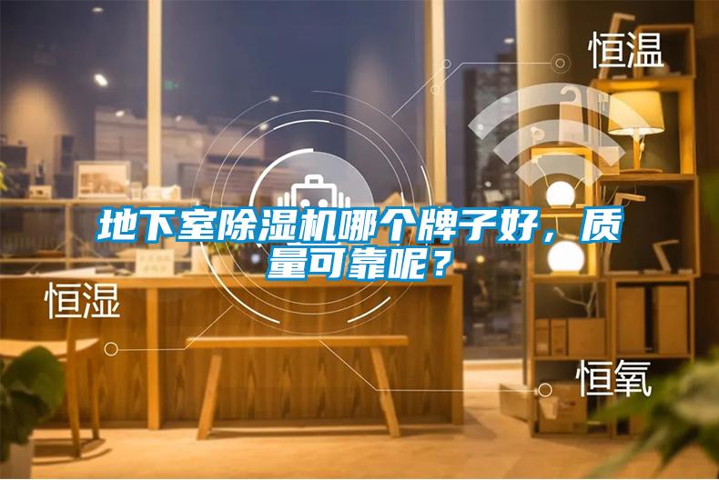 地下室除濕機哪個牌子好，質量可靠呢？
