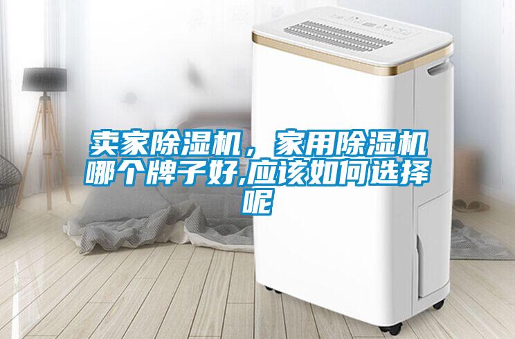 賣家除濕機，家用除濕機哪個牌子好,應該如何選擇呢